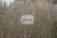 قیمت عبور از اروند خروشان