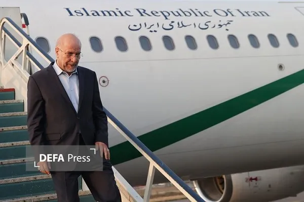 قالیباف قالیباف