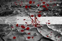 ما نسل علی‌اکبریم، نسلی جان‌فدا با اقتدا به خط‌ شکن کربلا