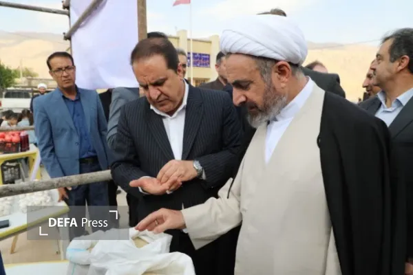 دیدار وبرداشت انار