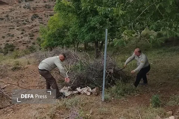رفع تصرف اراضی ملی در روستای «کینج»