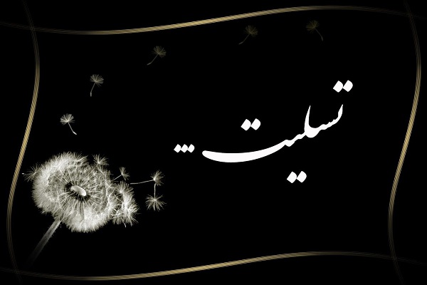 مادر شهید «ابوتراب نوری» به فرزند شهیدش پیوست