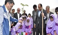 آغاز پویش «کاشت نهال سرو ایران» در عسلویه