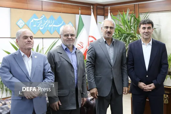 نظمی