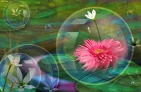 نماهنگ/ «گل نرگس آبروی دو عالم» در مدح امام زمان (عج)