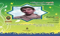 اینفوگرافیک/ شهید «طیب جیناک»