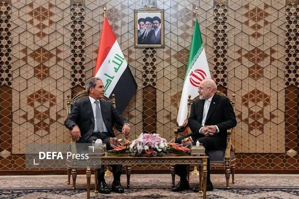 مجلس