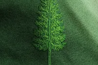 طرح/ همچو سرو ایستاده‌ایم