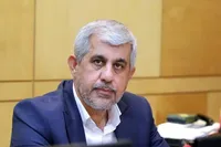 سعیدی: مسیر موقت در تنگه هرمز نباید با بازگشایی تنگه اشتباه گرفته شود