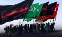 آیت الله صفایی بوشهری: پیام اربعین در عصر حاضرایستادگی جبهه مقاومت در برابر شرارت جهانی است