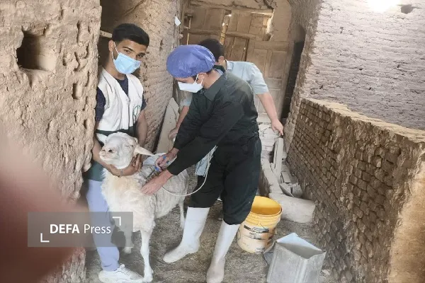 دفاع پرس یزد دفاع پرس یزد