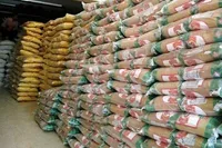 کشف بیش از ۱۴۰۰ تن کالای احتکار شده در پایتخت