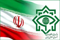 وزارت اطلاعات: خون شهدا موجب ریشه‌کنی هرچه بیشتر دشمن آمریکایی صهیونی شده است