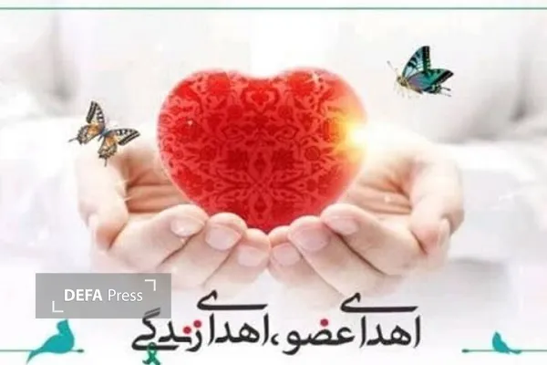 اهدا عضو دانشگاه علوم پزشکی اهدا عضو دانشگاه علوم پزشکی