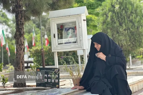 شهید داوود گرگعلی شهید داوود گرگعلی