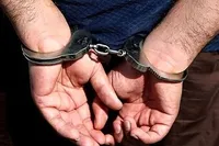 انهدام باند ۴ نفره سارقان سیم برق در آمل