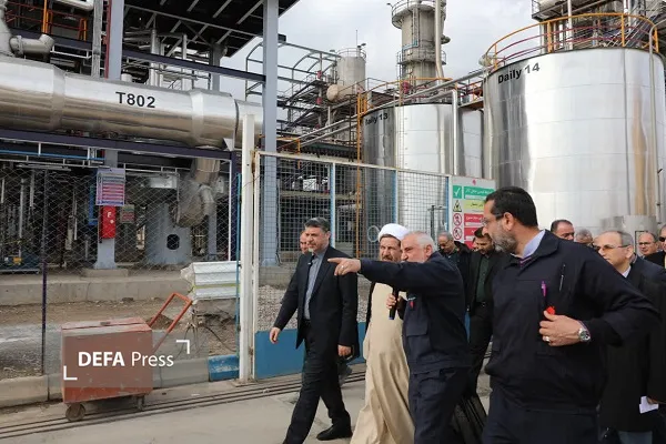 رضا زرندی