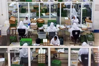 سازمان غذا و دارو: توانایی پاسخگویی به نیاز‌های پیش‌بینی شده و اضطراری کشور را داریم