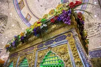 فیلم/ گل‌آرایی ضریح حضرت اباالفضل (ع)