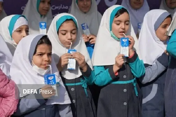 شیر شیر