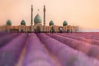 السلامُ علیکَ یا شمسَ الشموس