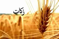 افزایش ۴۷ درصدی زکات مستحبی در کهگیلویه و بویراحمد