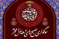 عزاداری شبانه محرم در حرم شاهچراغ (ع) برگزار می‌شود
