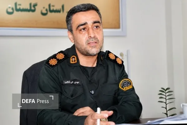 مهدی علی‌شاهی