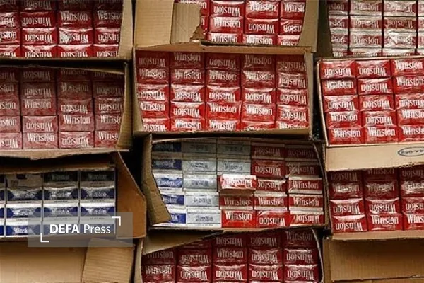 ۲۶۰ هزار نخ سیگار قاچاق در مرزهای کردستان زمین‌گیر شد