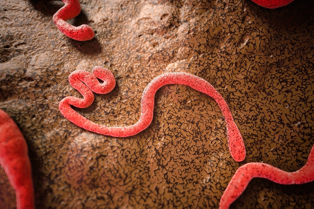 Bandibugyo: A New Era of US Biological Attacks on the African Continent