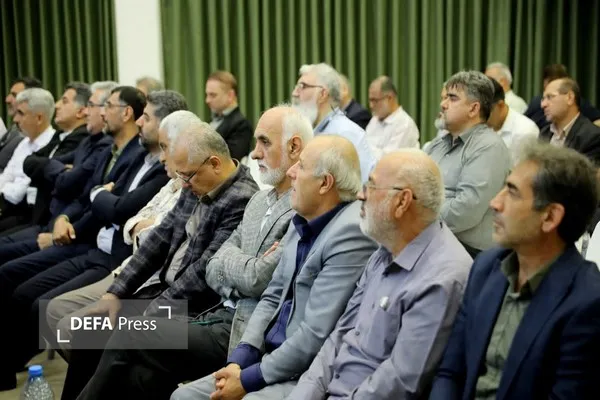 نورمفیدی