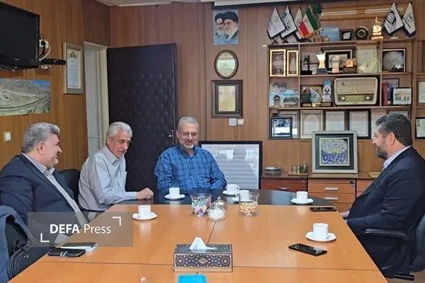 ستاد دیه