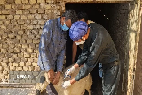 دفاع پرس یزد دفاع پرس یزد