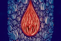طرح/ ما ملت شهادتیم
