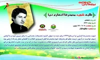اینفوگرافیک/ شهید «محمدرضا انصاری نیا»