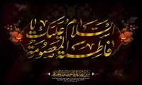 فیلم / بوی امام رضا(ع) میاد از در و دیوار حرم