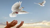 آزادی 47 زندانی البرزی با اعطای ارفاقات قانونی