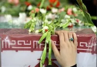 پیام تسلیت مدیرکل حفظ آثار دفاع مقدس آذربایجان غربی به مناسبت درگذشت مادر شهیدان ورمزیار