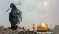 طرح/ جمعه‌های انتظار (۵۶)