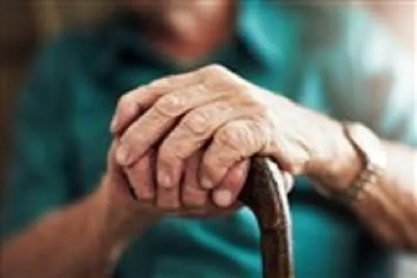 شهرداری شهرداری
