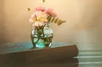 السلامُ علی المهدی (عج)