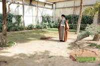 فیلم/ رهبر انقلاب: درختکاری، تولید ثروت و یک عمل صالح است