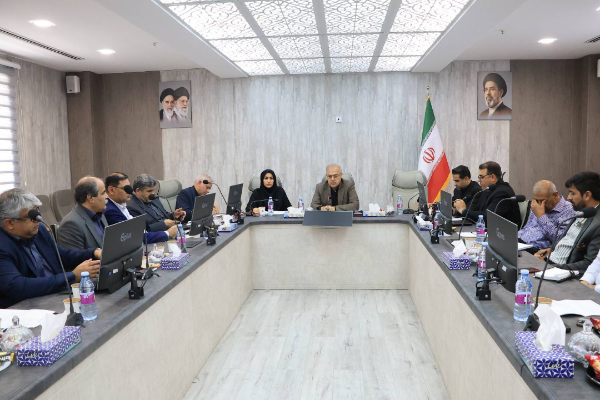 بازار استان از نظر تأمین کالا مشکلی ندارد/ پیگیری مجوز واردات لوازم خانگی مورد نیاز مردم
