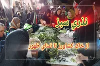 فیلم / حلقه سبزِ بندگی در قلبِ میدان