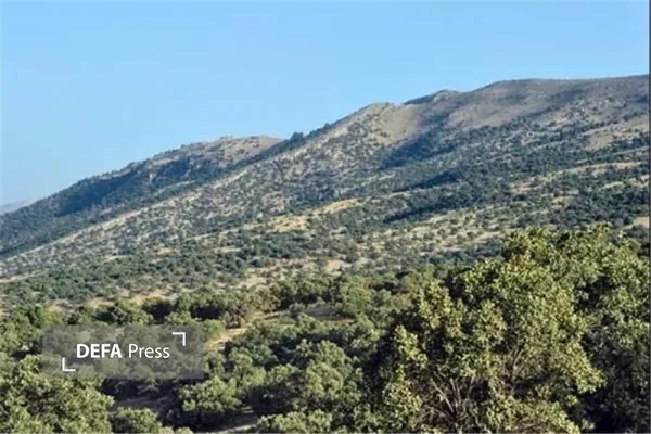 یادداشت