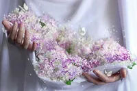 آمد به دنیا شافع فردای محشر