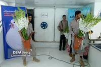 فیلم/ فعالیت خادمین شهدای بندرعباس در گلباران محل شهادت شهدای پرواز ۶۵۵