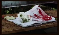 فیلم/ دختر مینابی الان تو آغوش دخترِ اربابی