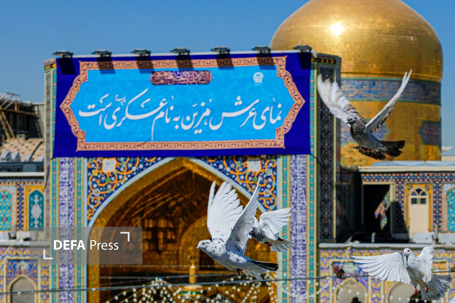 تصاویر/ نصب کتیبه‌های ولادت‌ امام حسن عسکری علیه‌السلام در حرم مطهر رضوی