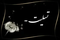 مادر شهید «ابوتراب نوری» به فرزند شهیدش پیوست